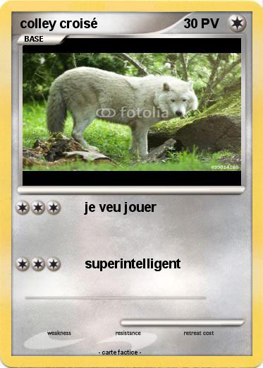 Pokemon colley croisé