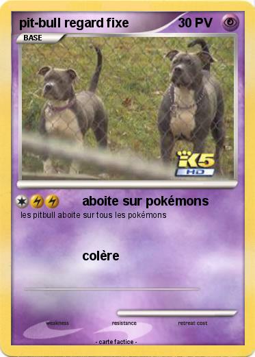Pokemon pit-bull regard fixe