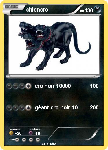 Pokemon chiencro