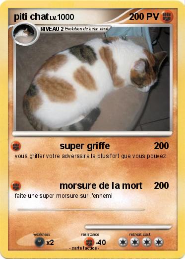Pokemon piti chat