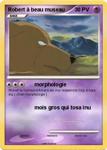 Pokemon Robert à beau museau
