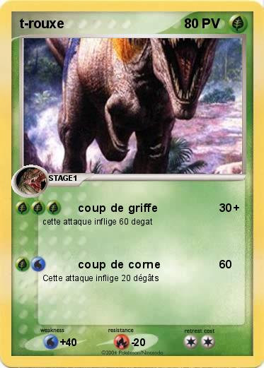 Pokemon t-rouxe