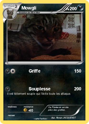 Pokemon Mowgli