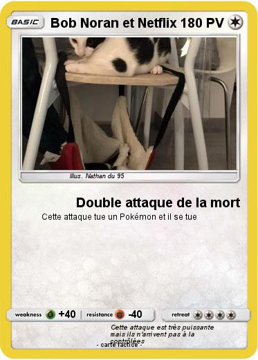 Pokemon Bob Noran et Netflix