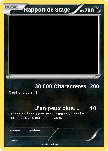 Pokemon Rapport de Stage