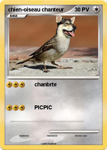 Pokemon chien-oiseau chanteur