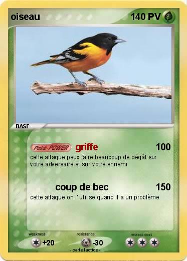 Pokemon oiseau