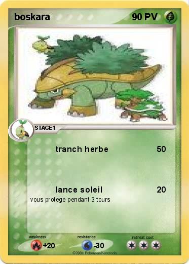 Pokemon boskara