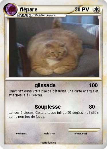 Pokemon flépare