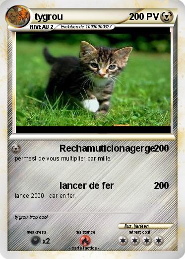 Pokemon tygrou