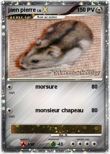 Pokemon jaen pierre