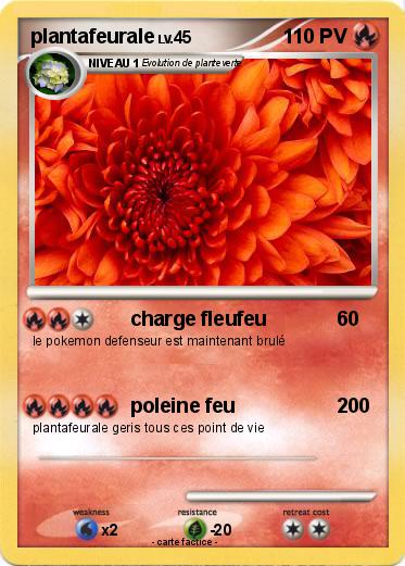 Pokemon plantafeurale
