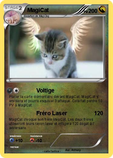 Pokemon MagiCat