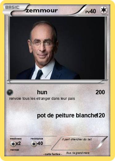 Pokemon zemmour