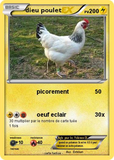 Pokemon dieu poulet