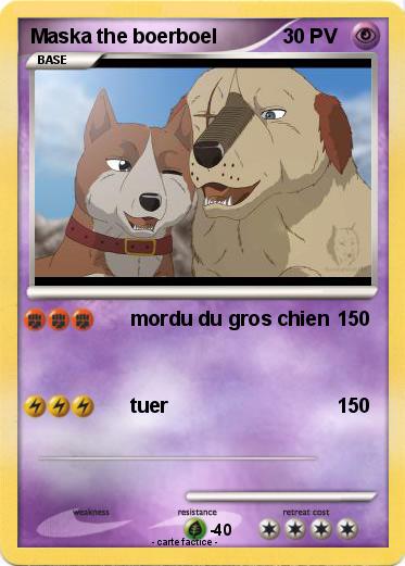 Pokemon Maska the boerboel