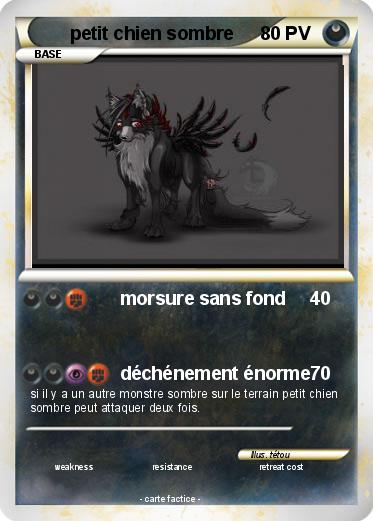 Pokemon petit chien sombre