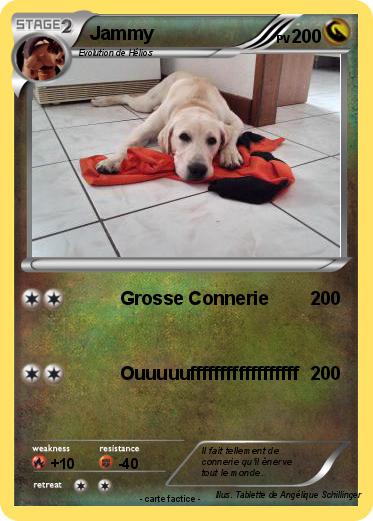 Pokemon Jammy