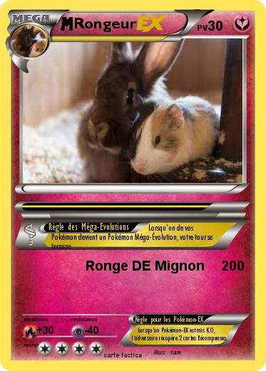 Pokemon Rongeur