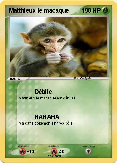 Pokemon Matthieux le macaque