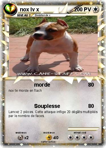 Pokemon nox lv x