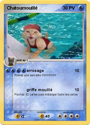 Pokemon Chatoumouillé