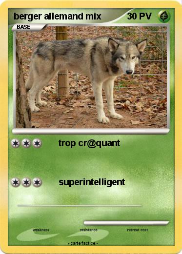 Pokemon berger allemand mix