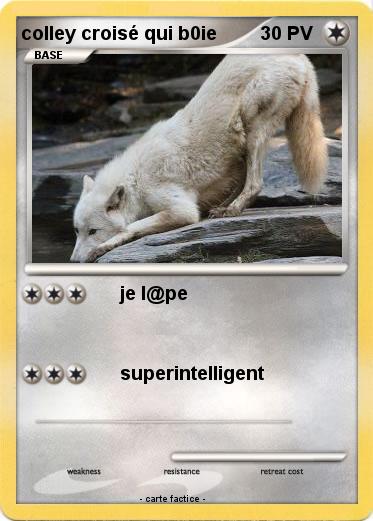 Pokemon colley croisé qui b0ie