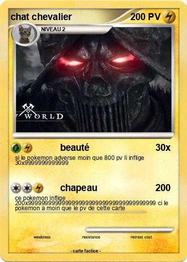 Pokemon chat chevalier