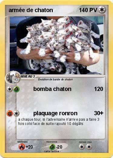 Pokemon armée de chaton