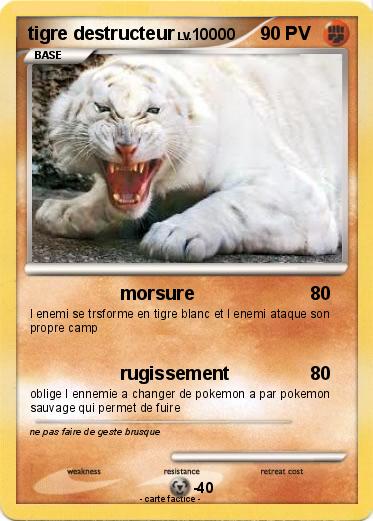 Pokemon tigre destructeur