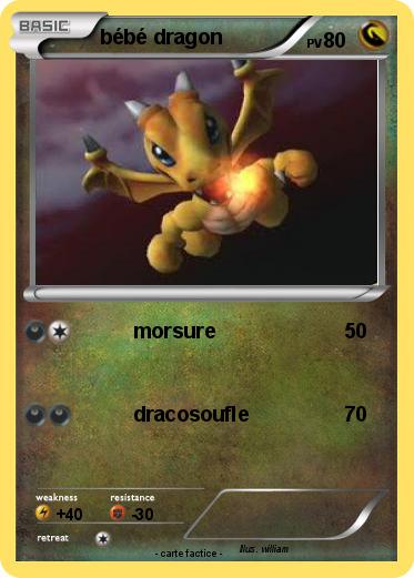 Pokemon bébé dragon