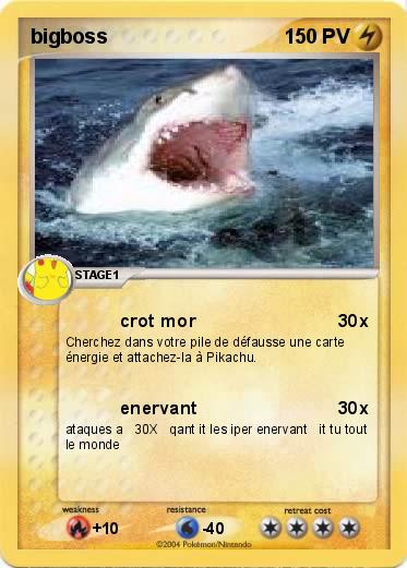 Pokemon bigboss