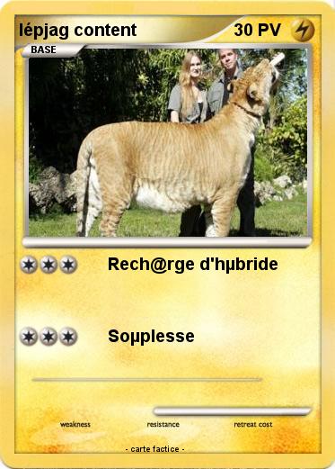 Pokemon lépjag content