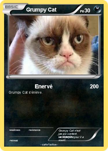 Pokemon Grumpy Cat