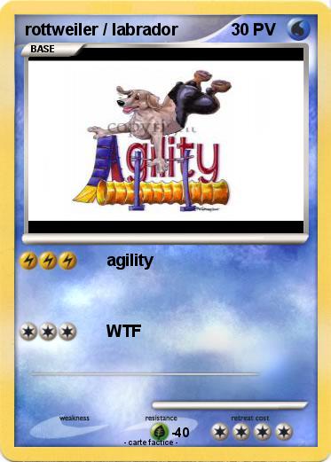 Pokemon rottweiler / labrador