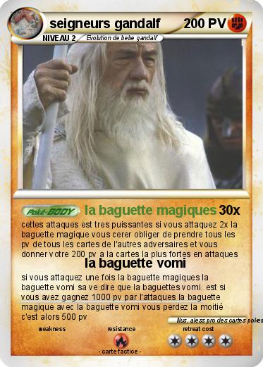 Pokemon seigneurs gandalf
