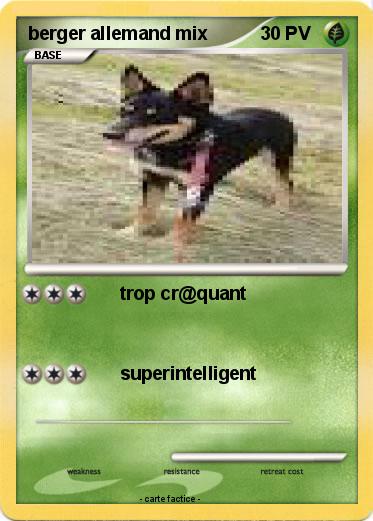 Pokemon berger allemand mix