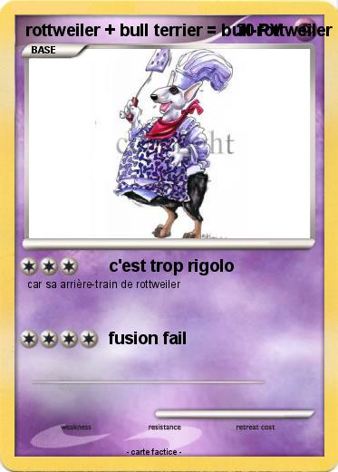 Pokemon rottweiler + bull terrier = bull-rottweiler mix