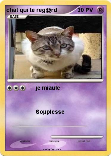 Pokemon chat qui te reg@rd