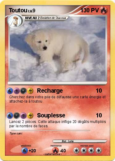 Pokemon Toutou