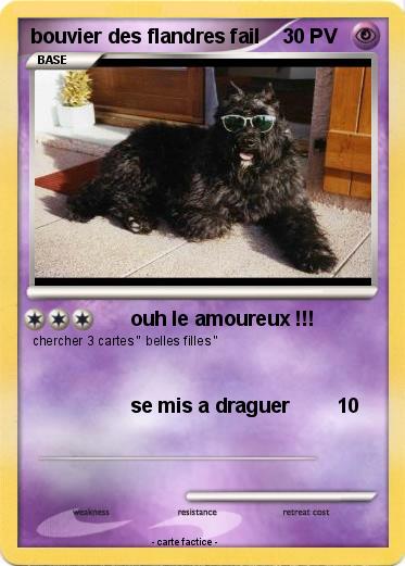 Pokemon bouvier des flandres fail