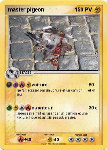 Pokemon master pigeon