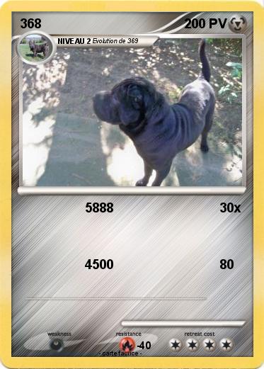 Pokemon 368