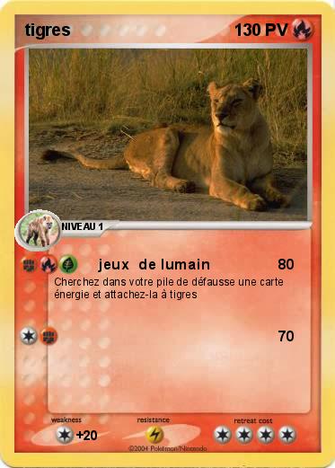 Pokemon tigres
