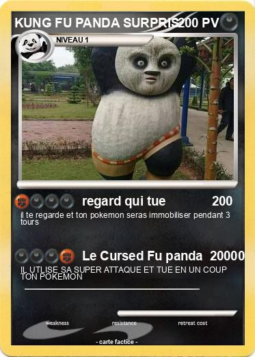 Pokemon KUNG FU PANDA SURPRIS