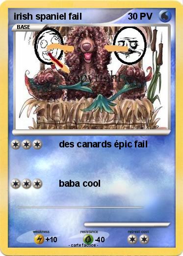 Pokemon irish spaniel fail