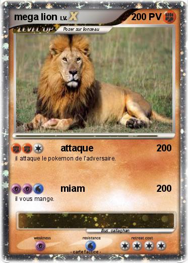 Pokemon mega lion