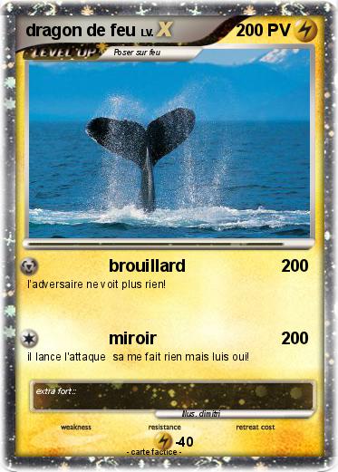 Pokemon dragon de feu