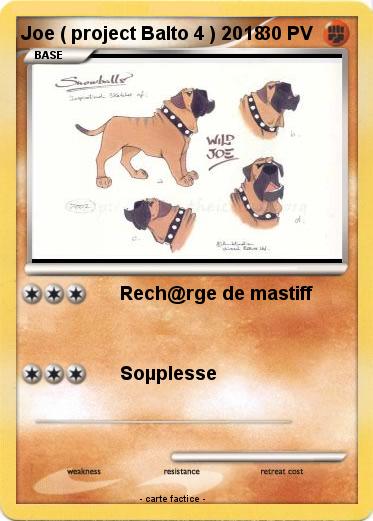 Pokemon Joe ( project Balto 4 ) 2018